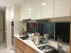 Helios Residences (D9), Apartment #166238422